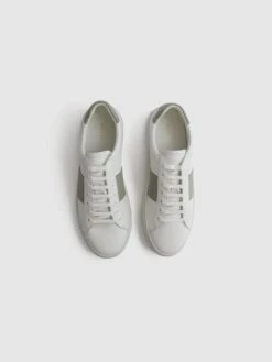 Reiss White/Sage Finley Stripe Leather Trainers -Style Trend Shop D18 849s3
